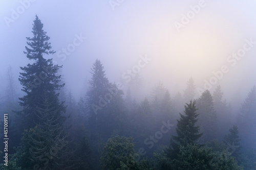 Waldstein im Fichtelgebirge in magischem Morgennebel