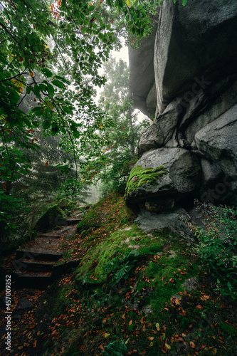 Waldstein im Fichtelgebirge in magischem Morgennebel