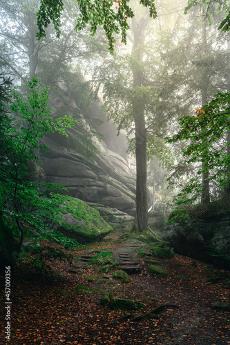 Waldstein im Fichtelgebirge in magischem Morgennebel