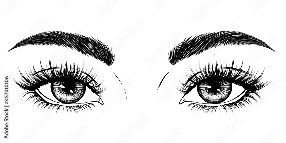 Eyes, eyebrows, long eyelashes. Hand-drawn black white fashion illustration. Vector EPS 10.