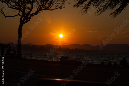 Por do sol com arvores vento a beira do mar céu laranja tarde linda