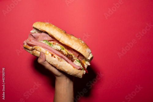 a hand holds a barda cake, mexican cake, mexican food, mexican sandwich with chiruzo, ham, avocado, white cheese, ceboola, tomato on a french bread, bolillo bread with a red background, Tampico dish photo