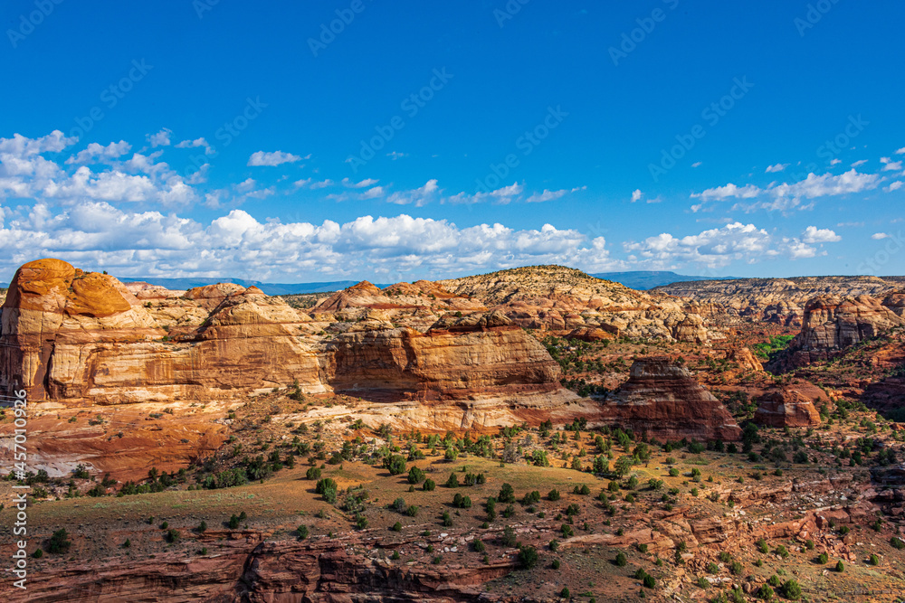 Red Sandstone along Highway 12 in Escalante National Monument