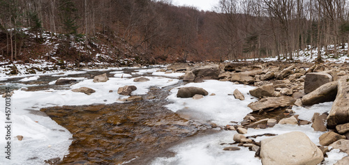 Fototapeta Naklejka Na Ścianę i Meble -  The Wetlinka River flowing through the Sine Wiry Reserve, the Bieszczady Mountains