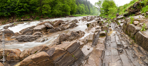 Fototapeta Naklejka Na Ścianę i Meble -  The Wetlinka River flowing through the Sine Wiry Reserve, the Bieszczady Mountains