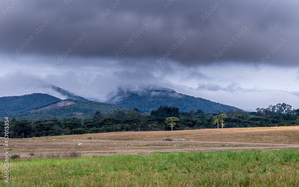 Obraz premium Hills