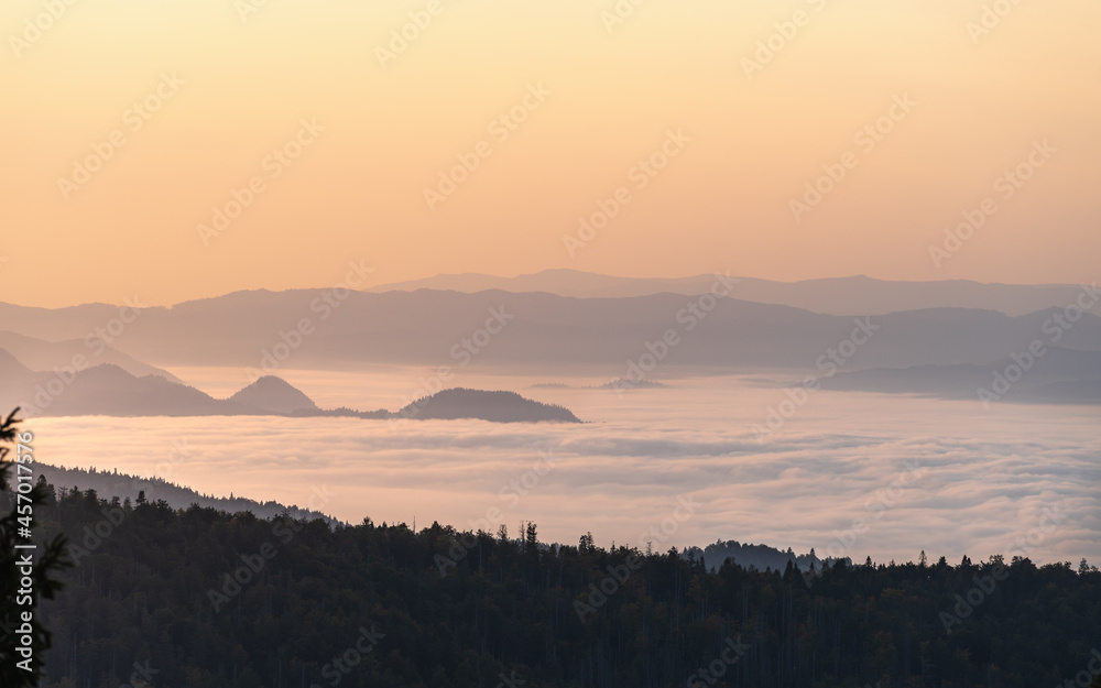 Fototapeta premium Pieniny we mgle o wschodzie słońca widok z Turbacza na Pieniny i dolinę Dunajca