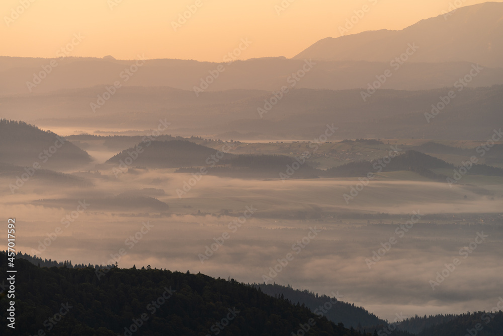 Pieniny we mgle o wschodzie słońca widok z Turbacza na Pieniny i dolinę Dunajca - obrazy, fototapety, plakaty 