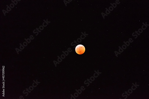 Wallpaper Mural moon Torontodigital.ca