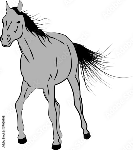 Sketch style running horse stallion vector illustration