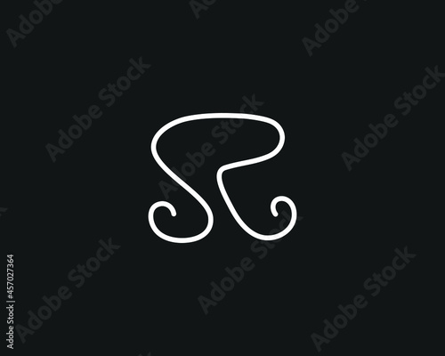 creative letter SR logo design vector template