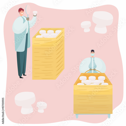 A worker checks the quality of mushrooms in production.