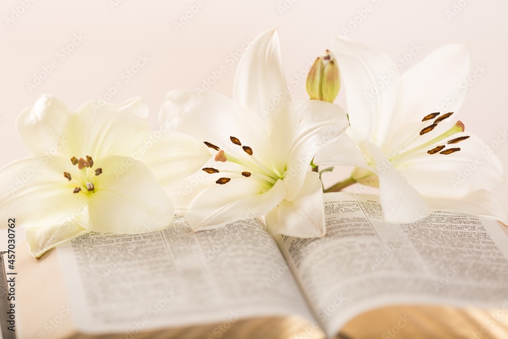 bible book and white lily flower