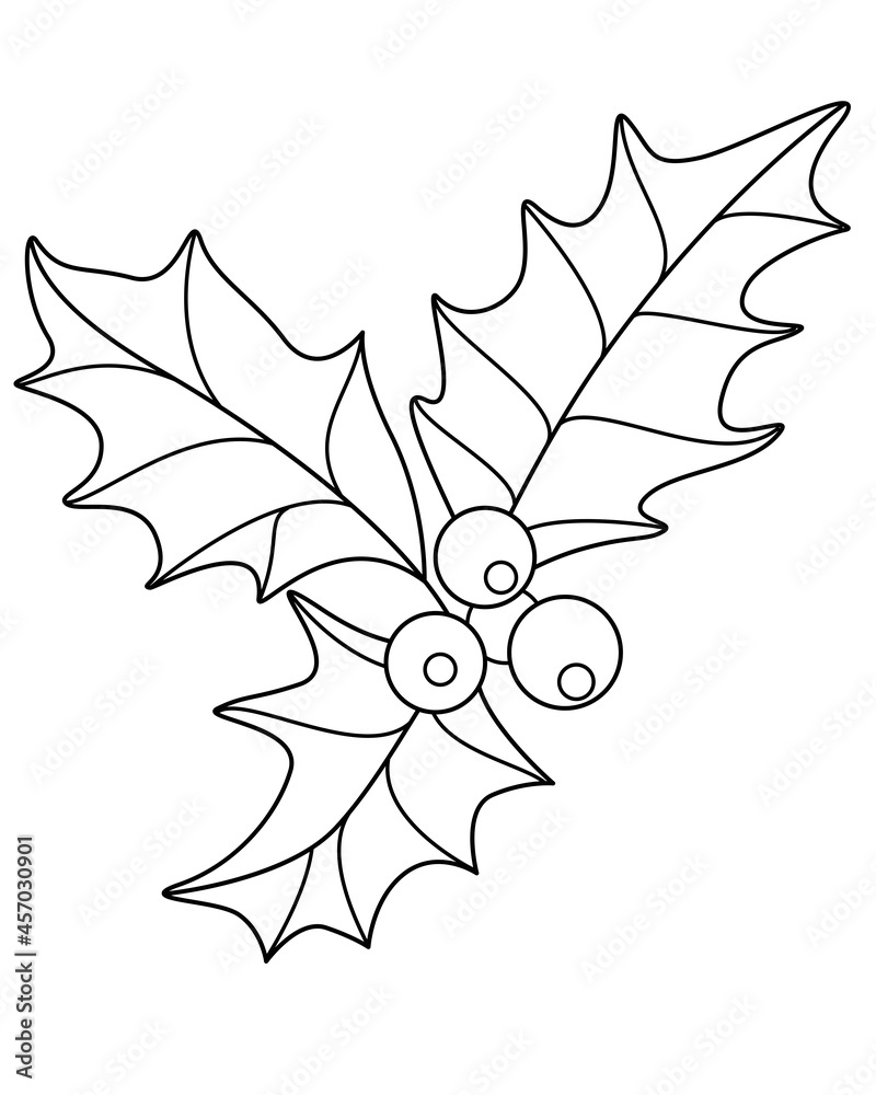 Fototapeta premium Holly berries and leaves - vector linear illustration for coloring. Outline. Holly is an evergreen symbol of Christmas for a coloring book.