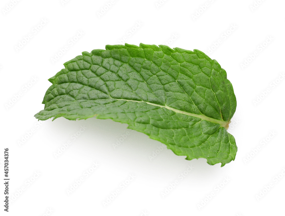 Obraz premium Fresh mint leaf on white background