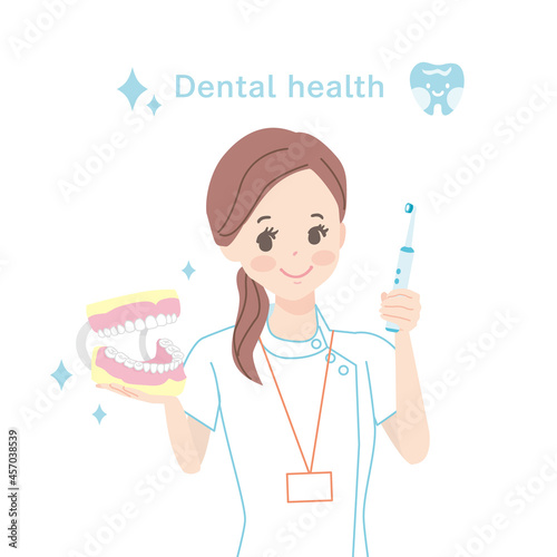 歯磨きの指導をする歯科助手　上半身イラスト素材