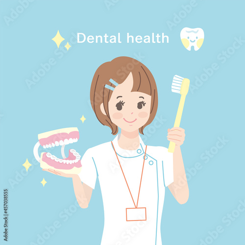 歯磨きの指導をする歯科助手　上半身イラスト素材