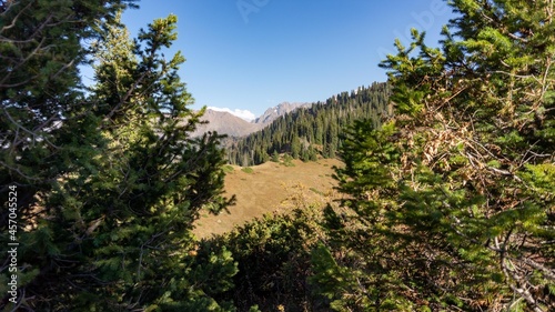 view from the hill