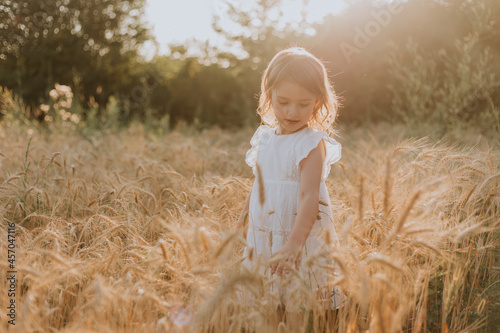 Adorable little blonde girl in a hat and a white linen dress, standing on a wheat field and touching the ears of wheat with her hands. Baby outdoor enjoying nature wheat field. High quality photo