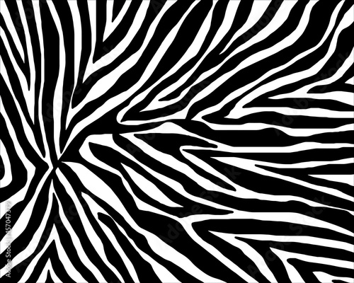 Vector seamless pattern with zebra skin.