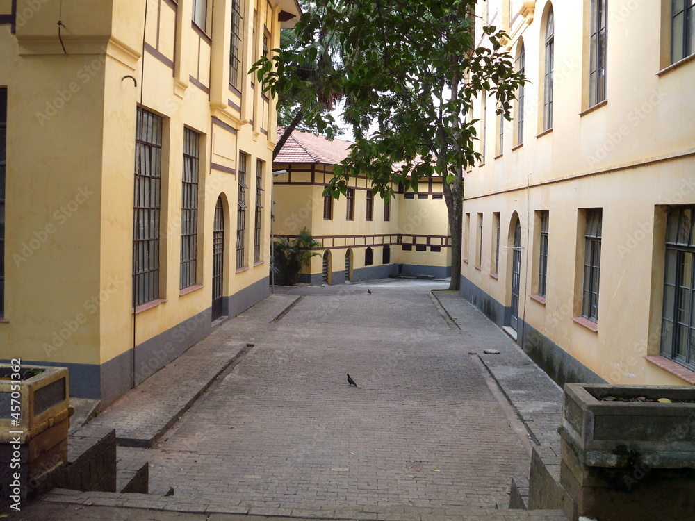 street in the old park