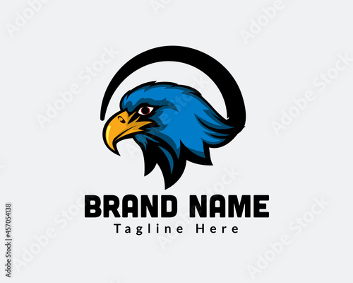 eagle hawk falcon blue head mascot circle line logo template illustration
