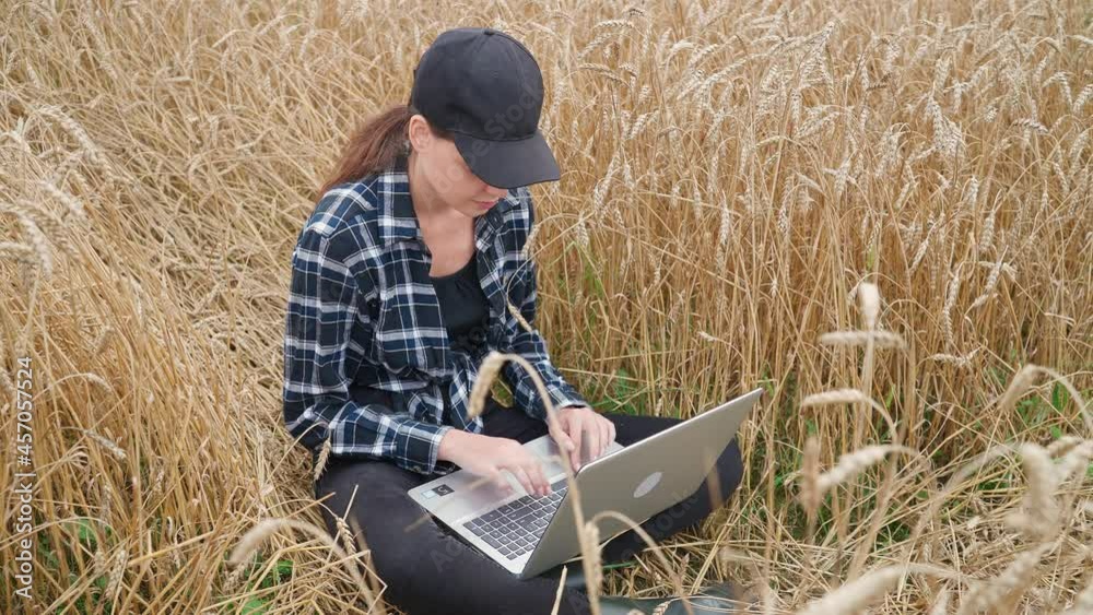 Female ecologist sits in a field and works at a laptop, remote work and self-isolation in nature, texting text and surf the internet while sitting in the field of rye. Female ecologist sits in a field and works at a laptop, remote work and self-isolation in nature, texting text and surf the internet while sitting in the field of rye.