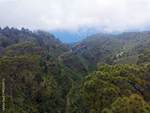 View on the Canyon called  Izcagua  on the island of La Palma  Canaries  Spain