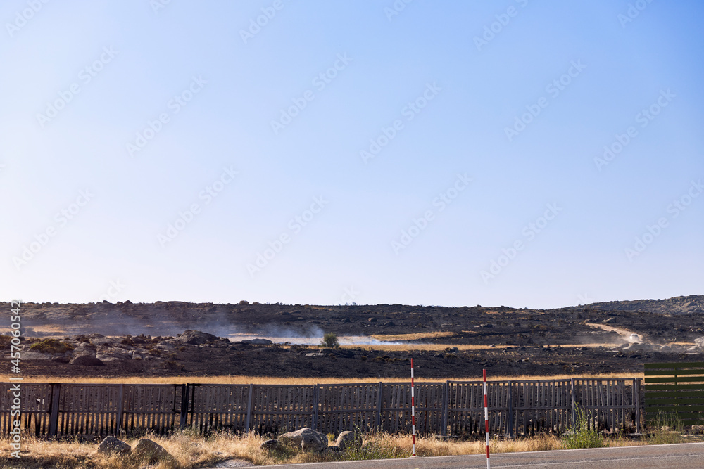 Landscape of a hillside burned by a forest fire. Hazard concept, climate change