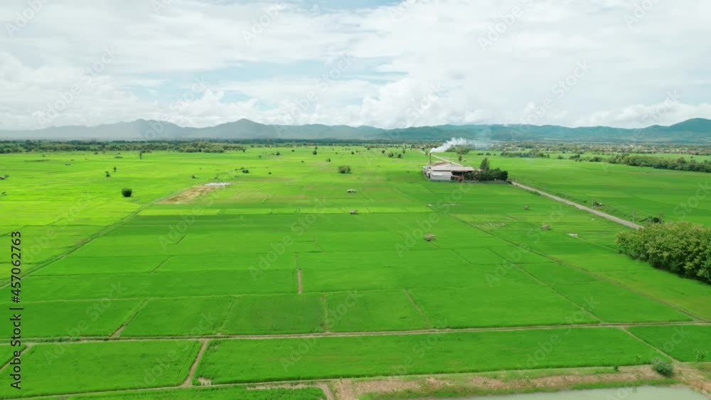 High angle view of green rice fields with different curves in the rainy season, Thailand. There is a river flowing through the middle of the land and a green forest behind. The idea for countryside ba High angle view of green rice fields with different curves in the rainy season, Thailand. There is a river flowing through the middle of the land and a green forest behind. The idea for countryside ba