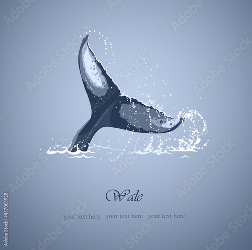 whale tail sticking out of the water, vector illustration 