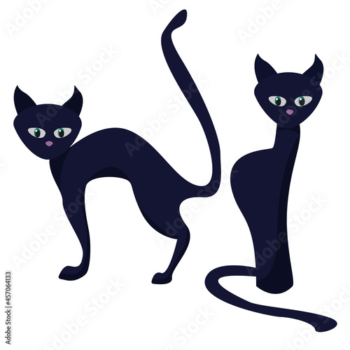 Black witch cats isolated on white background. Vector illustration. Cartoon sitting cat and curved cat.