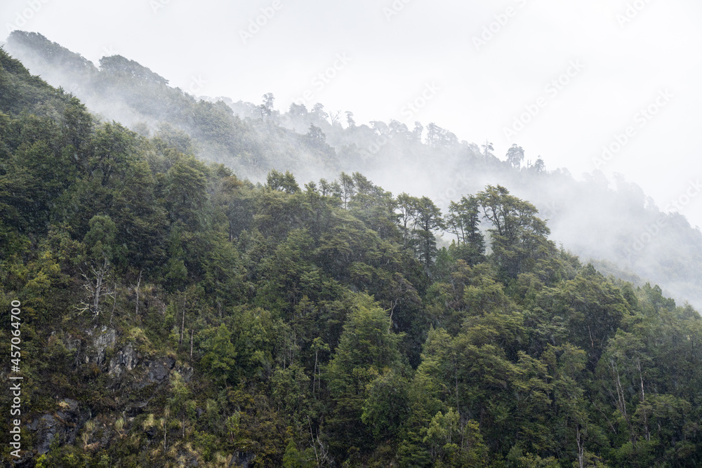 Panoramic view of a rainforest with thick fog on the road to Peulla. Panoramic view of a rainforest with thick fog on the road to Peulla.