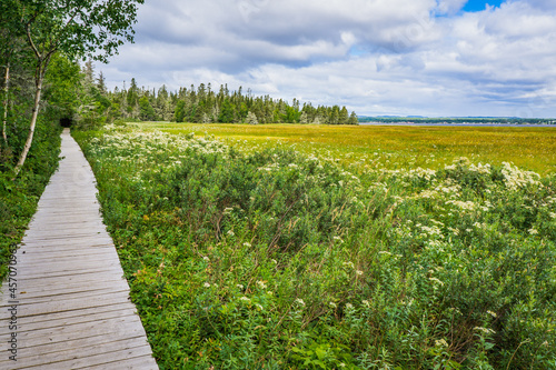 Boardwalk and hiking trail of the Pointe Aux Outardes Nature Park in the Quebec region of Cote Nord, Canada photo