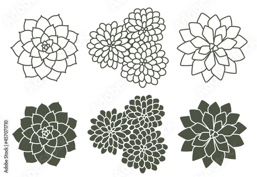 Vector line color handdrawn illustration set with stylized decorative succulents. Isolated on white background
