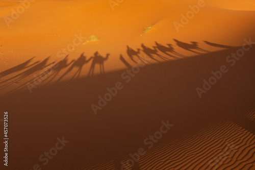 Cienie wielbłądów na piasku pustyni, Sahara, Maroko