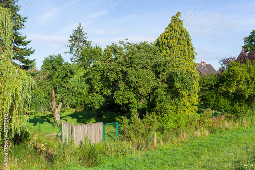 Garten mit Apfelbaum, Grolland, Bremen, Deutschland