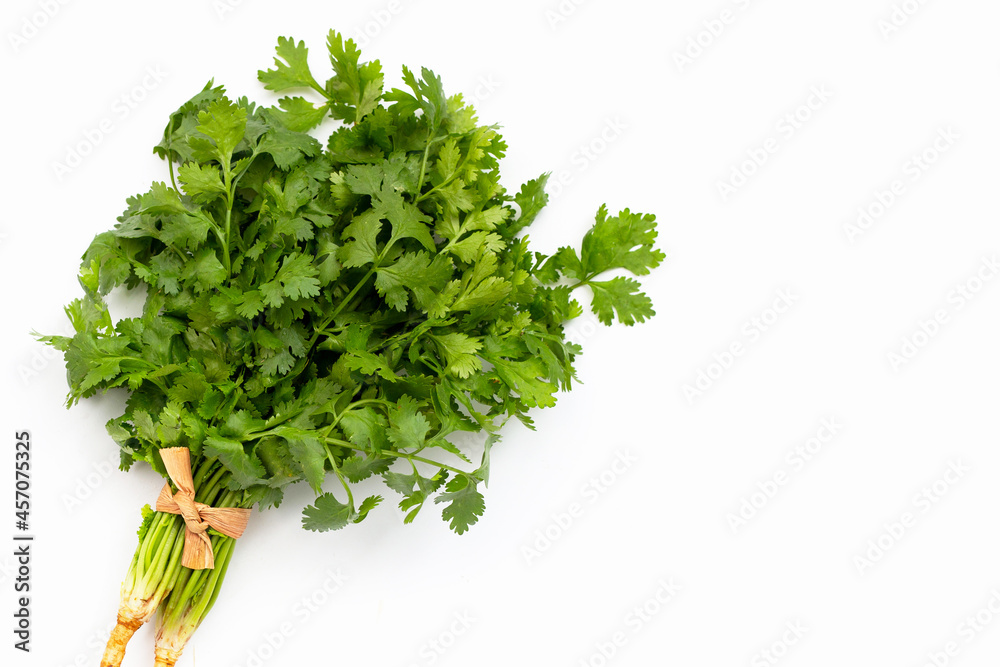 Fototapeta premium Fresh coriander on white background.