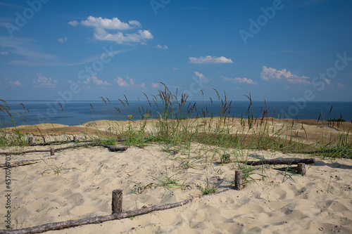 beautiful dunes in Nida, Lithuania photo