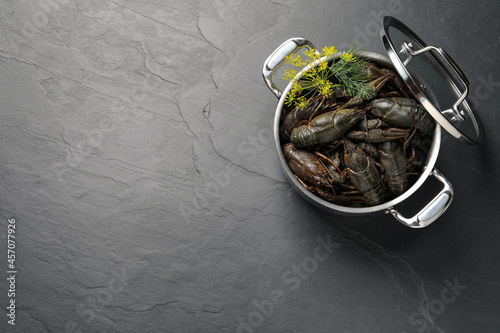 Fresh raw crayfishes with dill in pot on black table, top view. Space for text photo