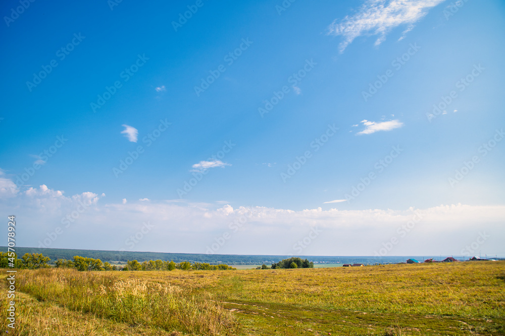 Wild, unkempt after with partially yellowed grass and trees in the background. Summer landscape in the forest in the countryside Wild, unkempt after with partially yellowed grass and trees in the background. Summer landscape in the forest in the countryside
