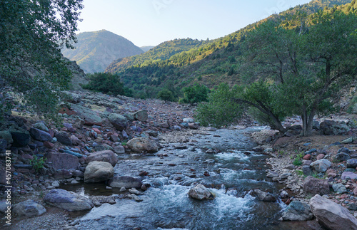 Water flowing down the mountain