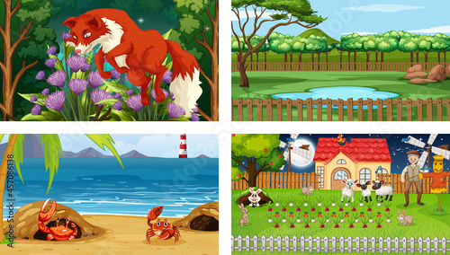 Four different nature horizontal scene