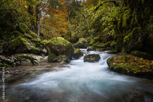 River in the forest with autumn colors