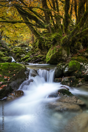 Fototapeta Naklejka Na Ścianę i Meble -  Waterfall in autumn with beautiful tree