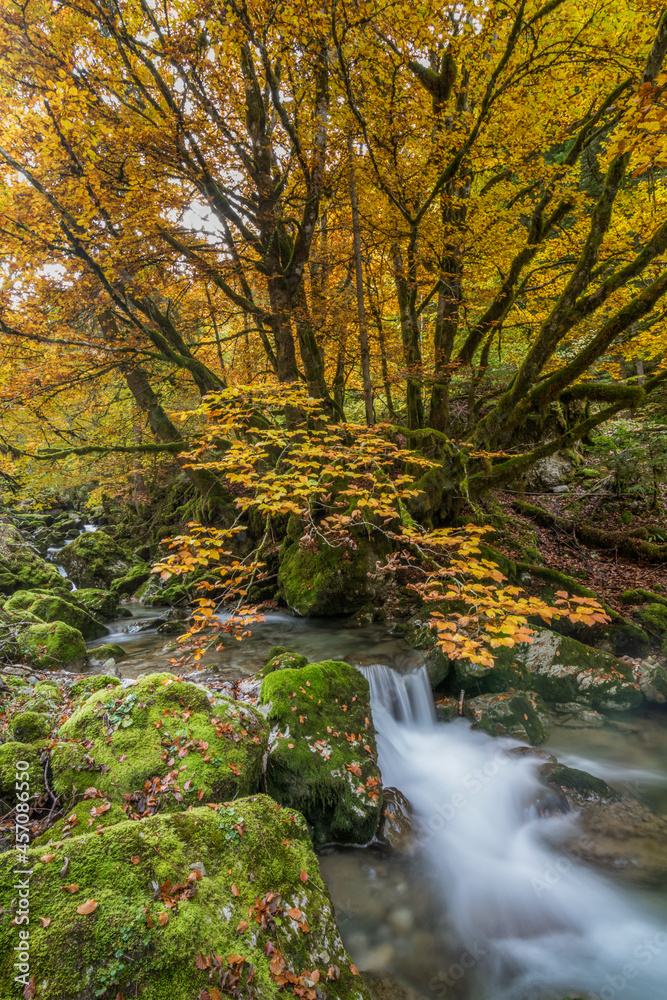 river in autumn forest with waterfall