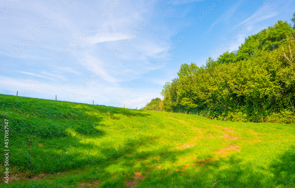 Obraz premium Fields and trees in a green hilly grassy landscape under a blue sky in sunlight in summer, Voeren, Limburg, Belgium, September, 2021
