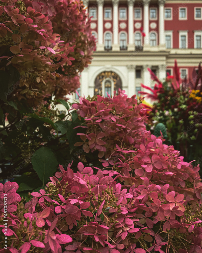 Blooming Moscow