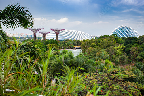 SINGAPORE, SINGAPORE - MARCH 2019: The Supertree Grove at Gardens by the Bay in Singapore near Marina Bay Sands hotel © Melinda Nagy