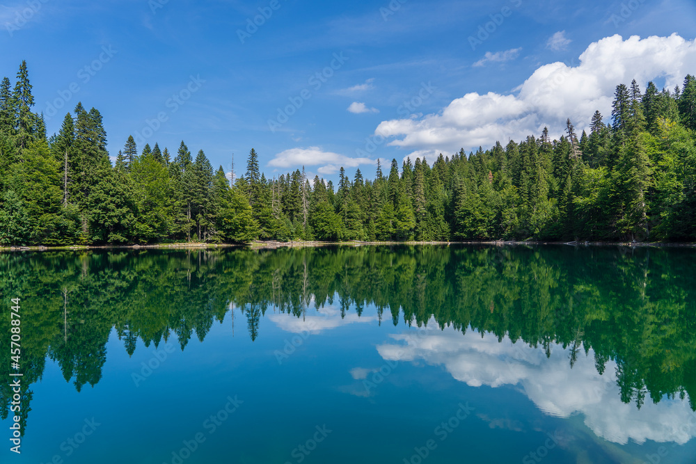 Mountain lake surrounded by dense coniferous and beech forest. Montenegro, Europe